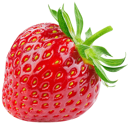 hofgeschichte-erdbeere-2col