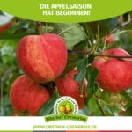 Die Apfel­saison hat begonnen!