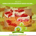Johannis­beer-Baiser-Kuchen