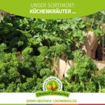Küchen­kräuter