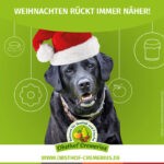 Weihnachten rückt immer näher!